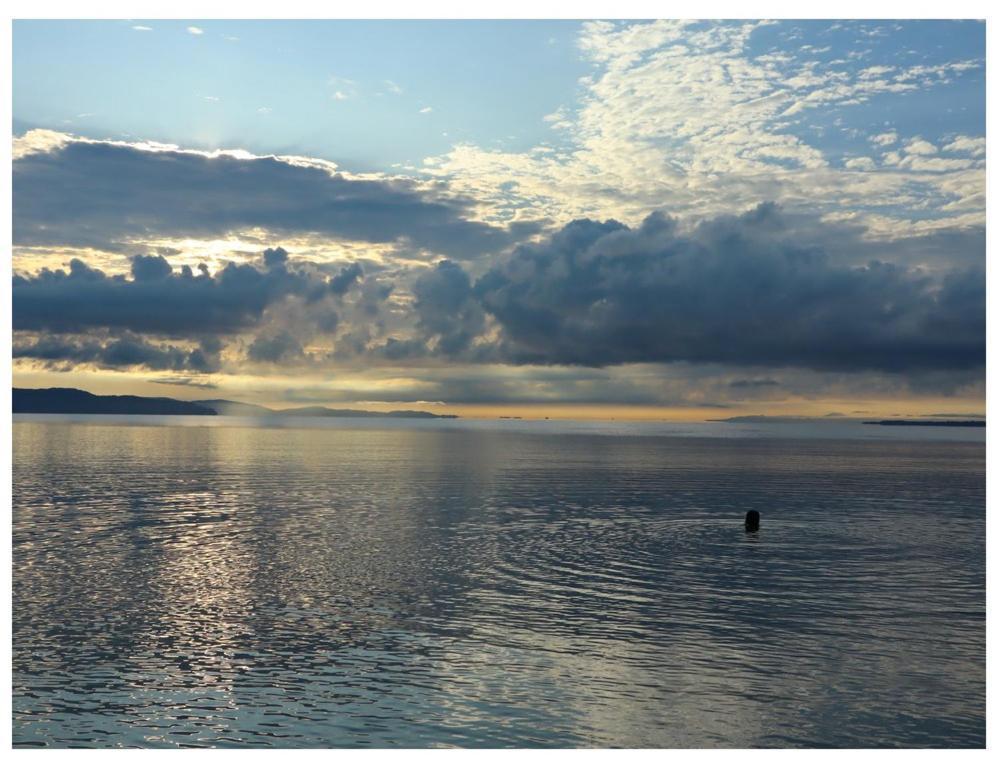 Hotel Terrazas Del Golfo La Palma Exteriér fotografie
